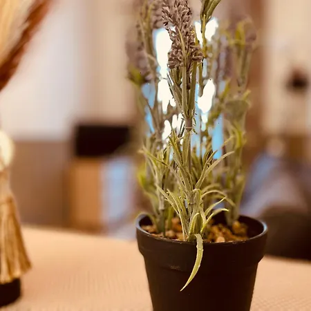 Douillet Rue Saint-gervais - 369 公寓 *